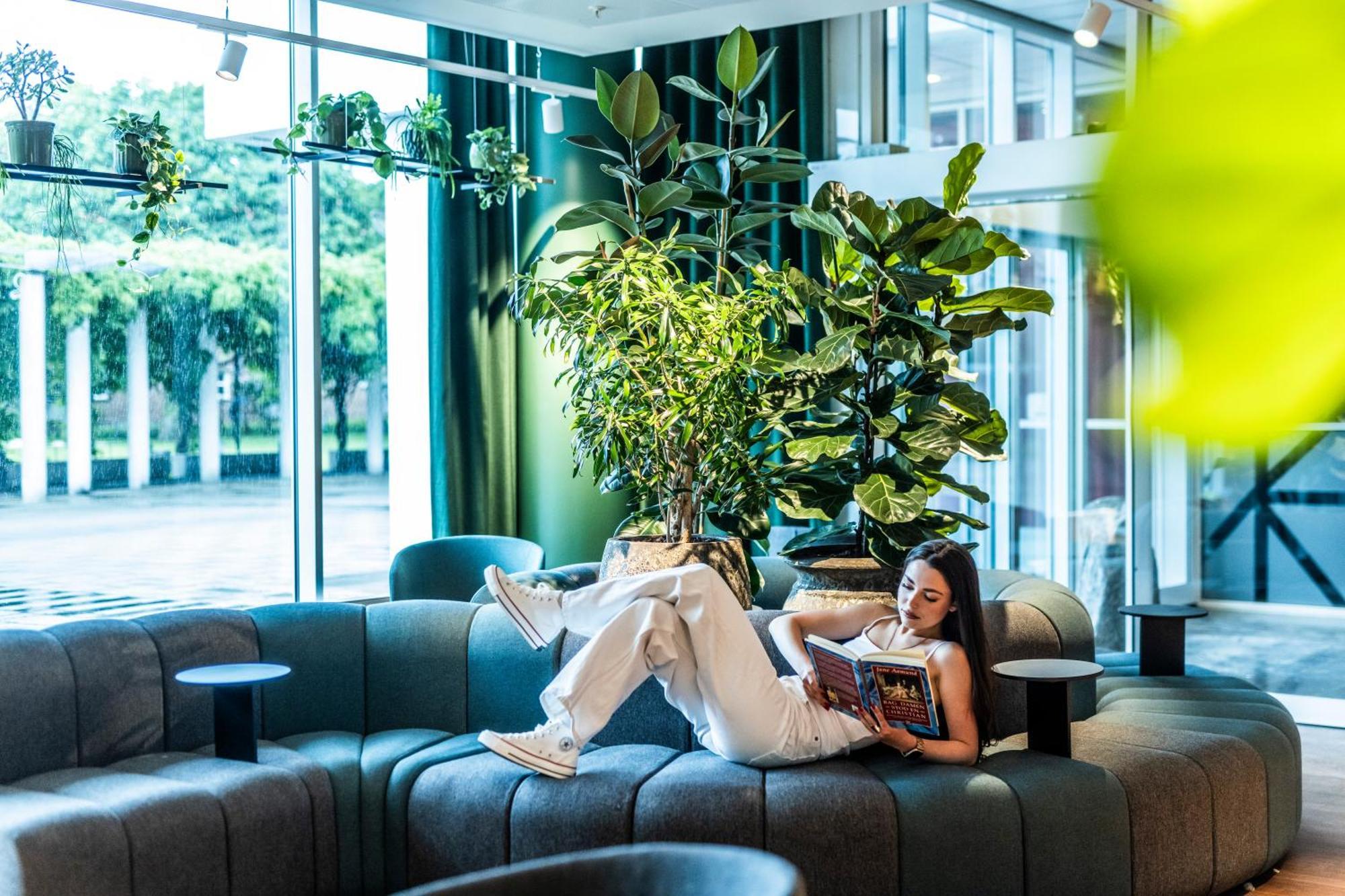The Note Hotel Вайле Екстериор снимка