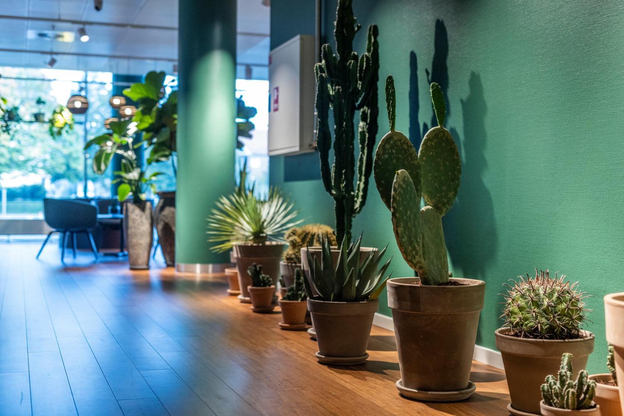 The Note Hotel Вайле Екстериор снимка